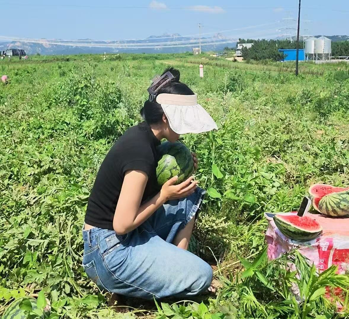 青岛乡里乡亲 | 乡村网络达人 陶文佩:一场网络接力助推瓜农畅通销路