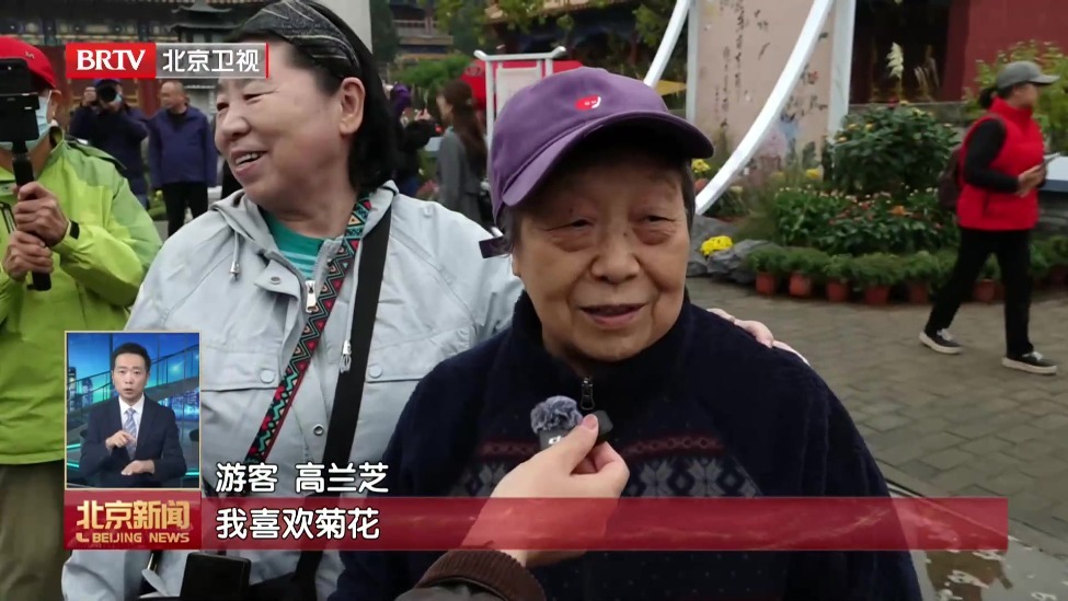 本周末北京各大公园菊花展相继开幕