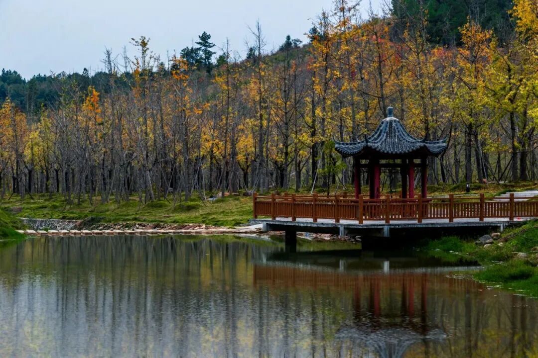图源:梅关景区