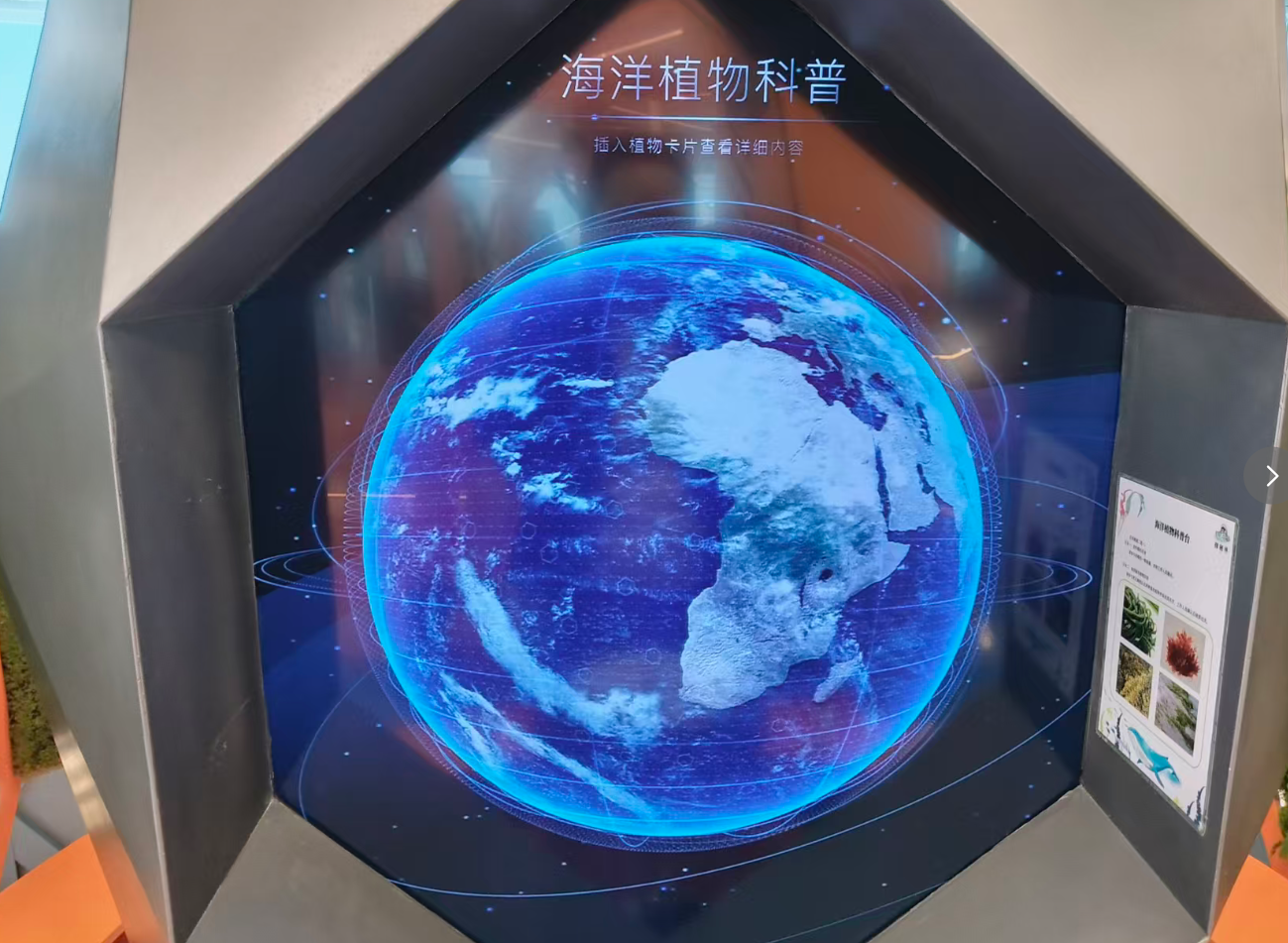 政府引导·志愿护航·企业跨界,深圳打造“海上亲子乐园”,构筑移动海洋课堂