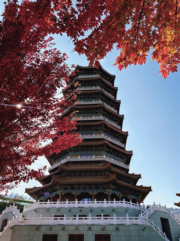 金城公园秋景如画
