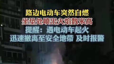 【#福建厦门路边一电动车自燃火焰数米高#】近日，福建厦门一辆停放在路