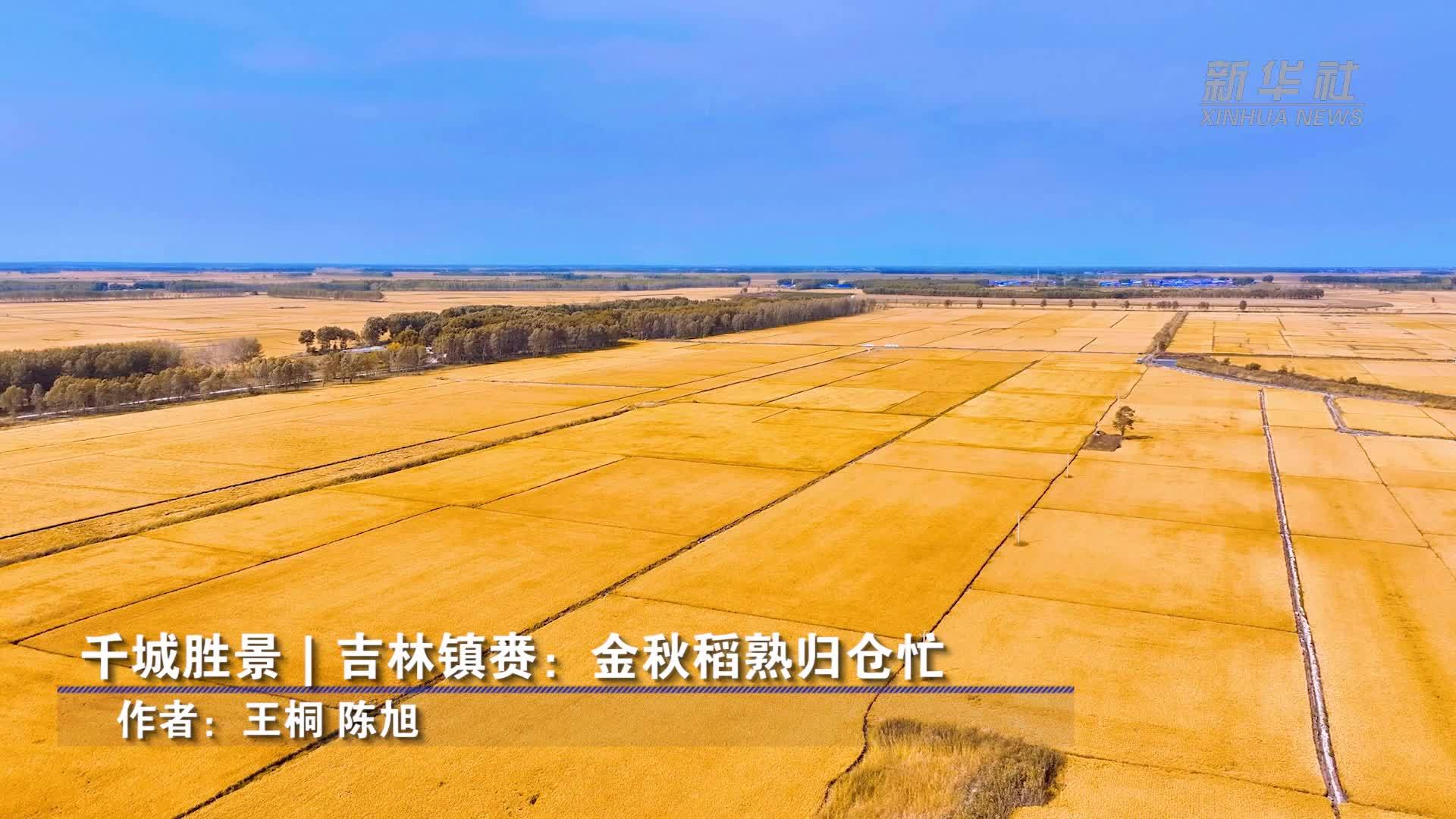 千城胜景｜吉林镇赉：金秋稻熟归仓忙