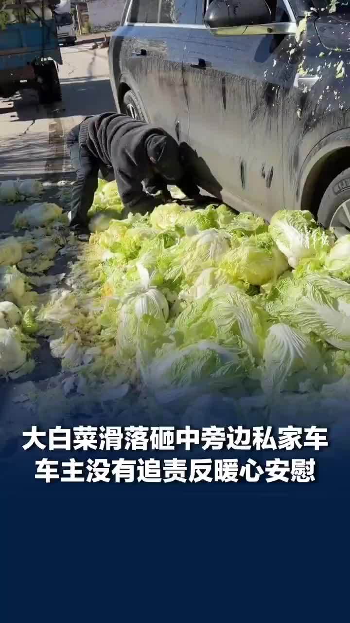大白菜砸中私家车车主反暖心安慰