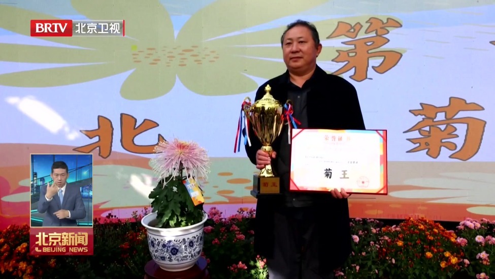 北京菊花擂台赛举行 故宫北海公园双双获奖