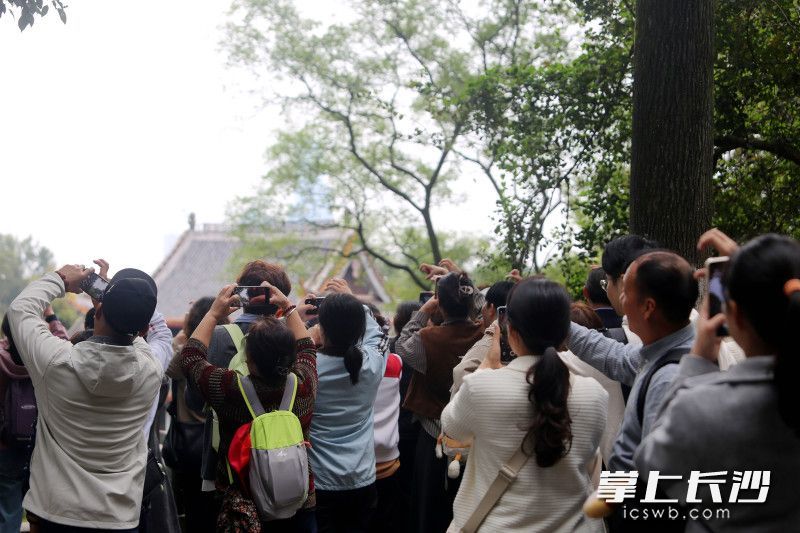 游客在拼心打卡。 除另注明外均为长沙晚报全媒体记者贺文兵摄