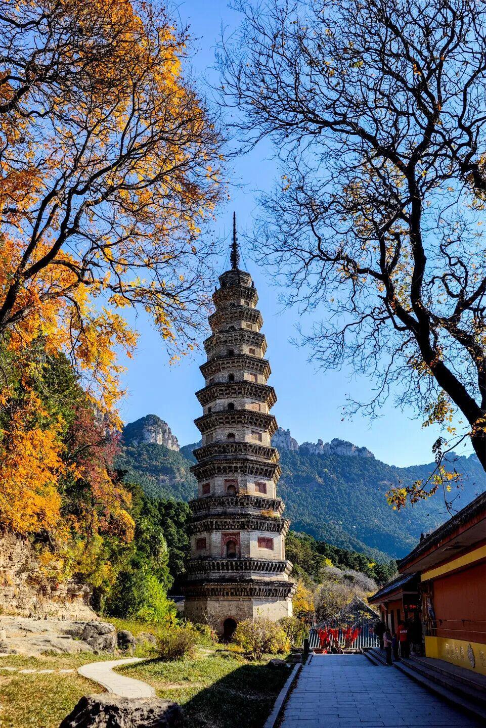 摄影:陈铟 往年11月于灵岩寺