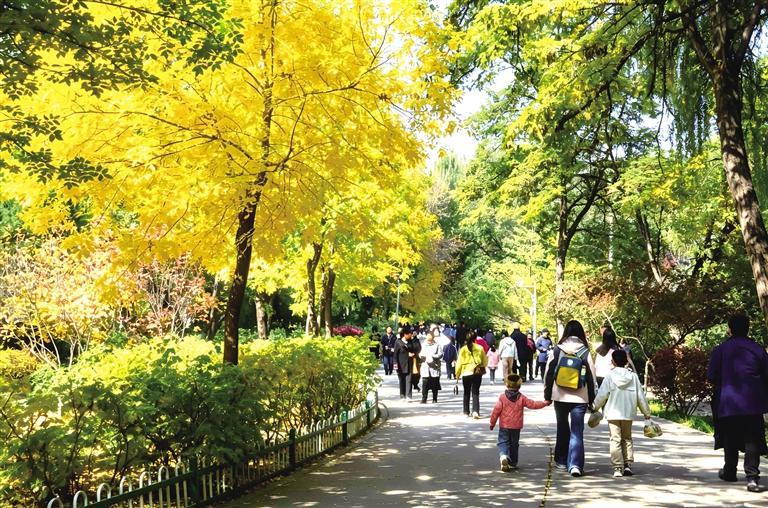 市民游客到兰州植物园游玩
