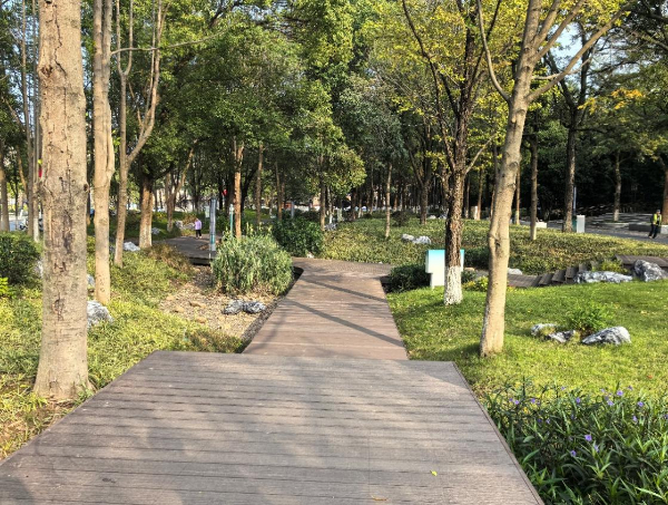 10月21日,南湖公园经过更新改造,融入了“海绵城市”设施。新华网发