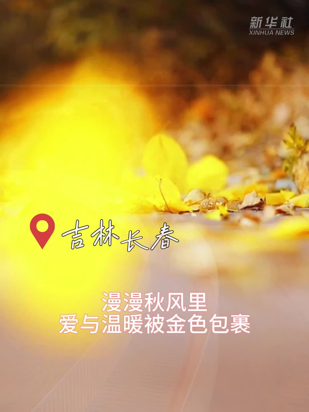 秋日长春：金色映笑脸