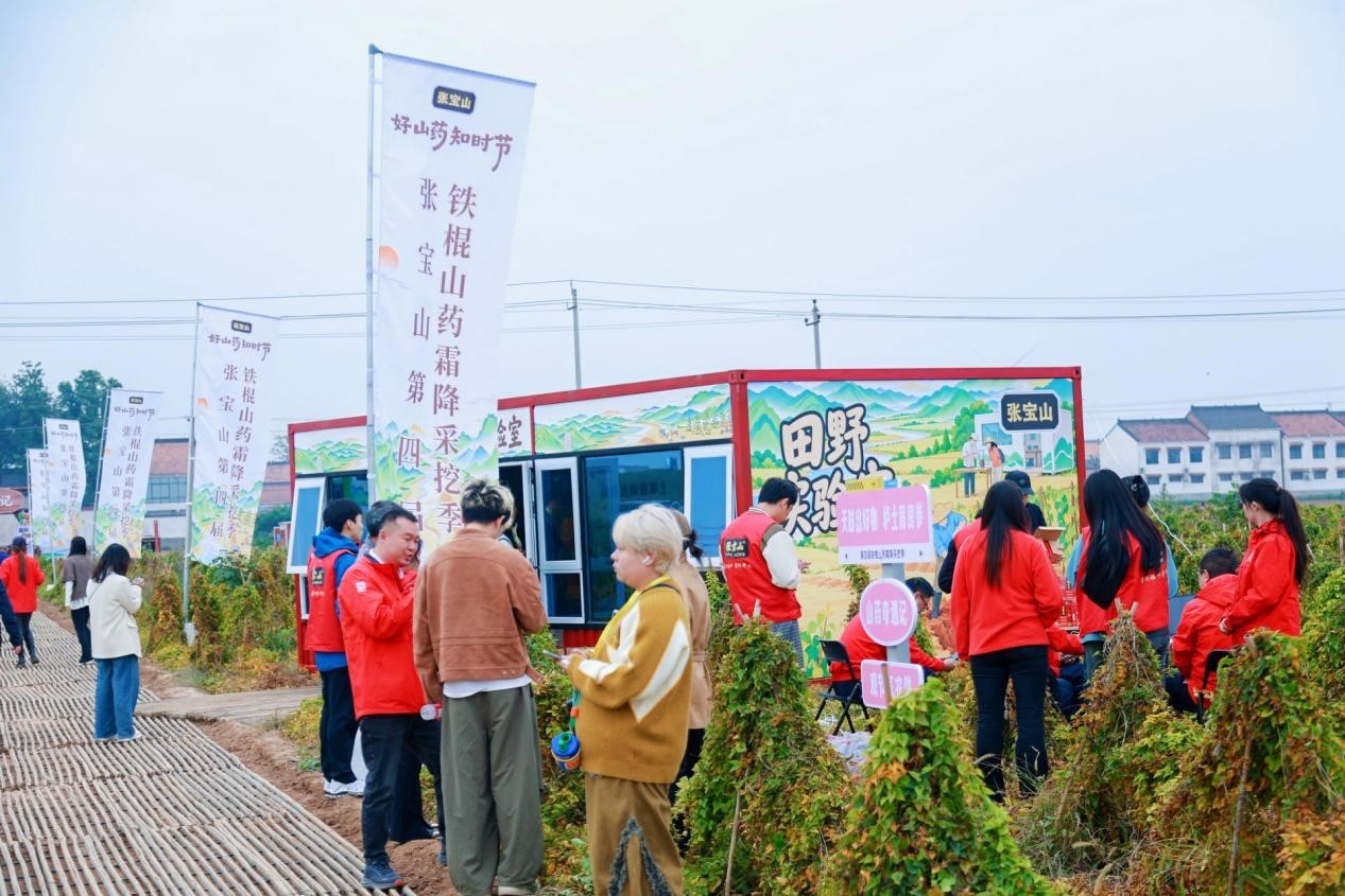 一场“山药奇遇记”，带你沉浸式感受二十四节气里的农耕农趣