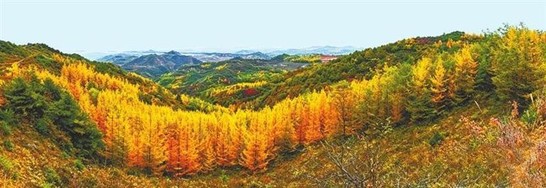 天水市秦州区齐寿山,是西汉水的发源地。本版图片均为资料图