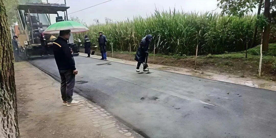 1793153263716041643.jpeg