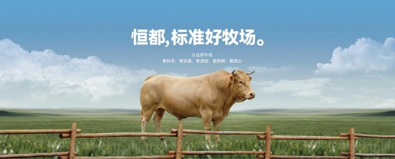 半成品牛肉制品哪个牌子好？2026年从源头牧场到餐桌的全维度参考