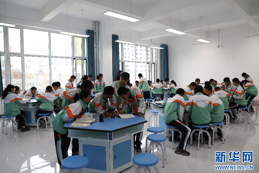 图为临夏七中的同学们在生物课上运用显微镜观察细胞结构