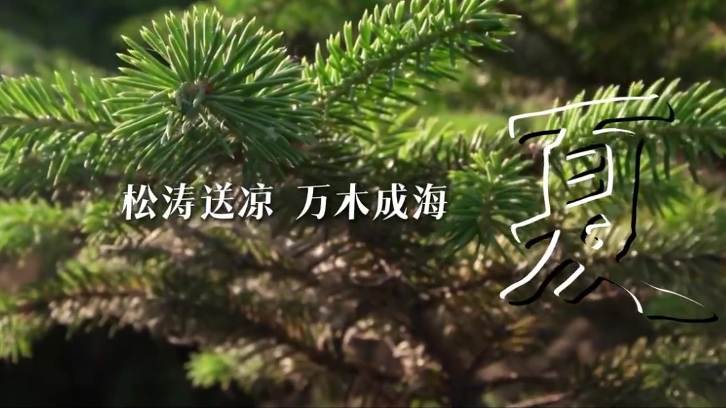 【甘快看】“河”衷共济七十载丨甘肃临夏：春夏秋冬法台山