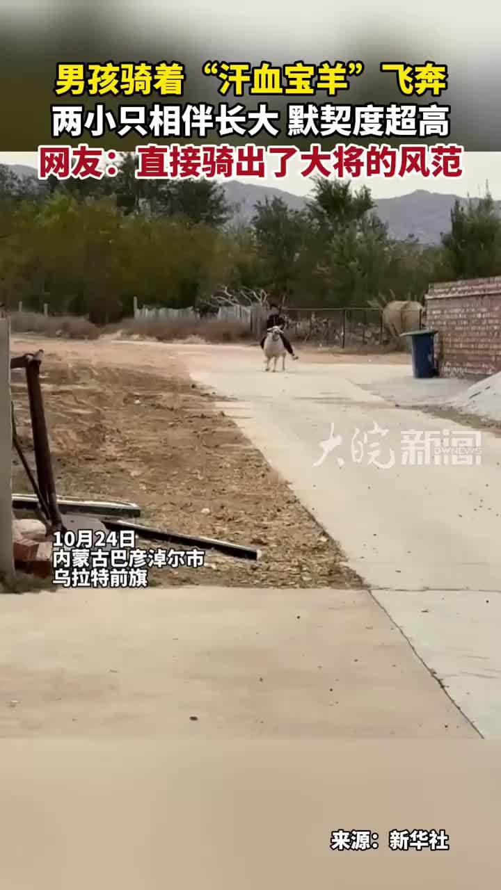 男孩骑着“汗血宝羊”飞奔 两小只相伴长大 默契度超高 网友：直接骑出了大将的风范