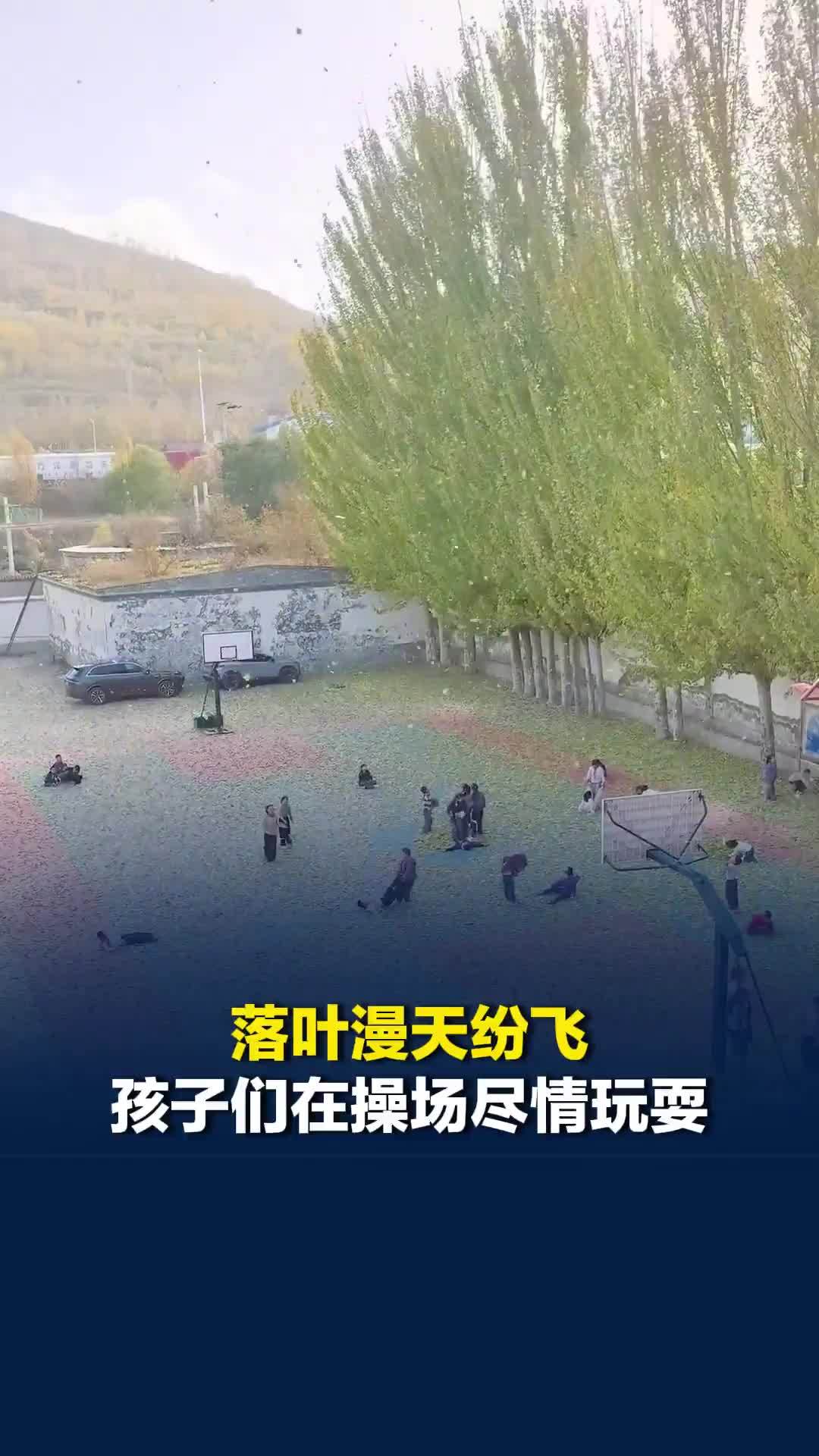 落叶漫天纷飞，孩子们在操场尽情玩耍，网友：好像看到了小时候的自己