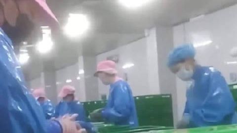 用鸡脖泥做馅是否违法【多家工厂被曝用鸡脖泥做馅料，撒尿牛丸“牛肉味纯