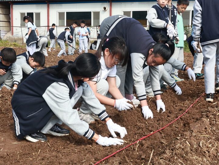 山东师范大学附属小学的学生在校外实践。受访单位供图