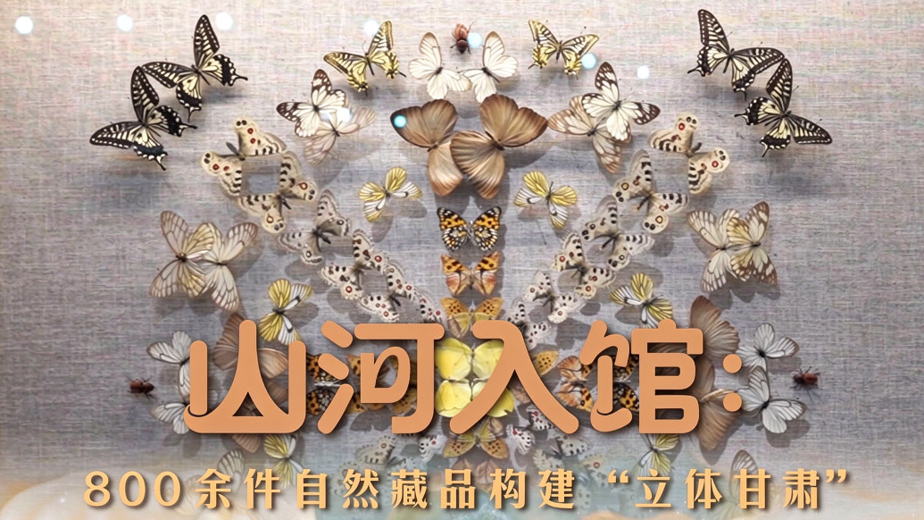 甘肃省博物馆新展来袭丨山河入馆：800余件自然藏品构建“立体甘肃”