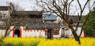 文旅先声