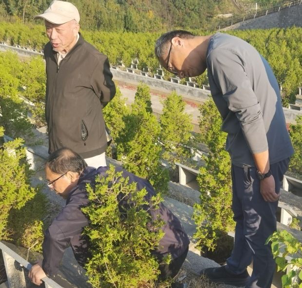 安庆三块查氏古碑已运至独秀园,补证陈独秀母系家世