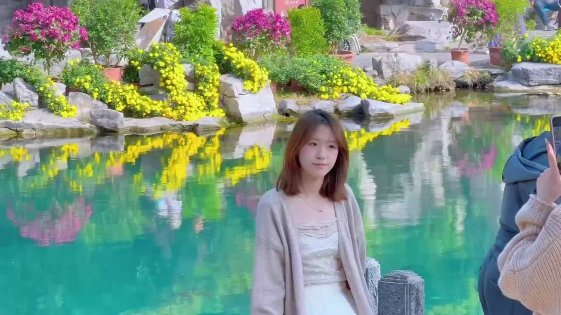 深秋济南暖阳回归 泉畔菊花映水成画