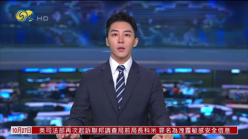 巴西总统右翼候选人弗拉维奥被禁离境 欲在国会阻击新政府