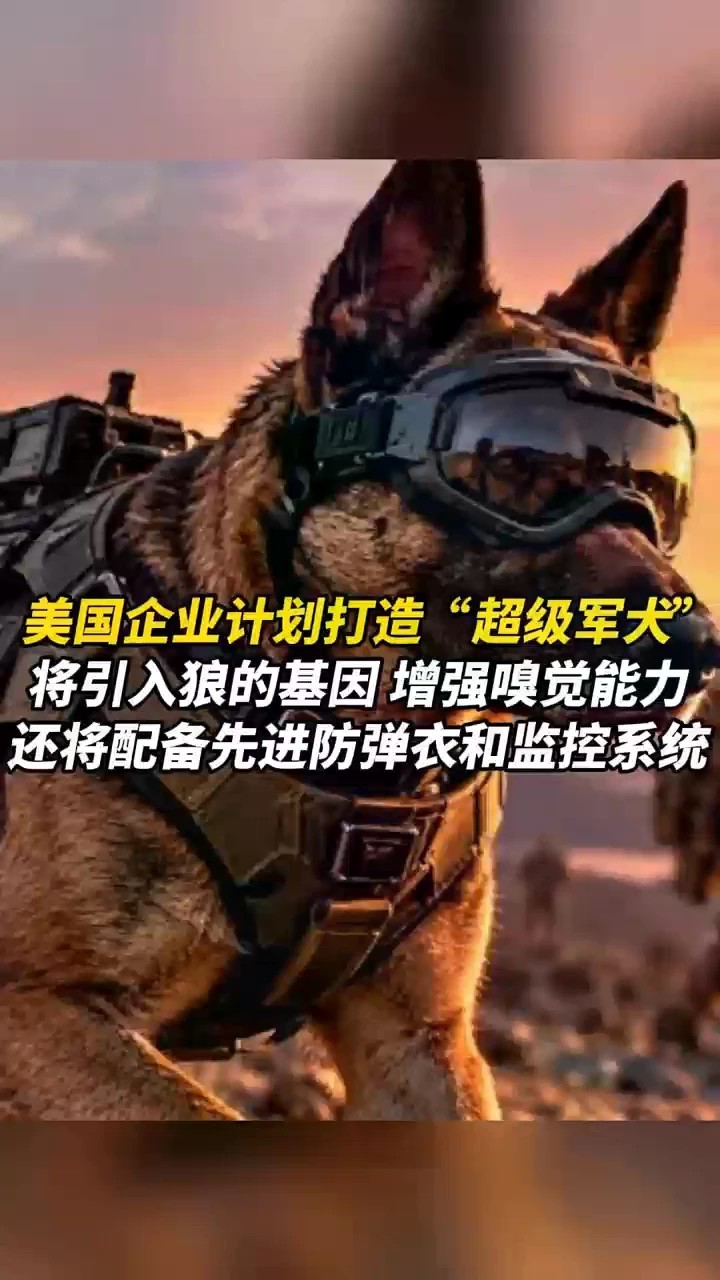美国企业计划打造“超级军犬”