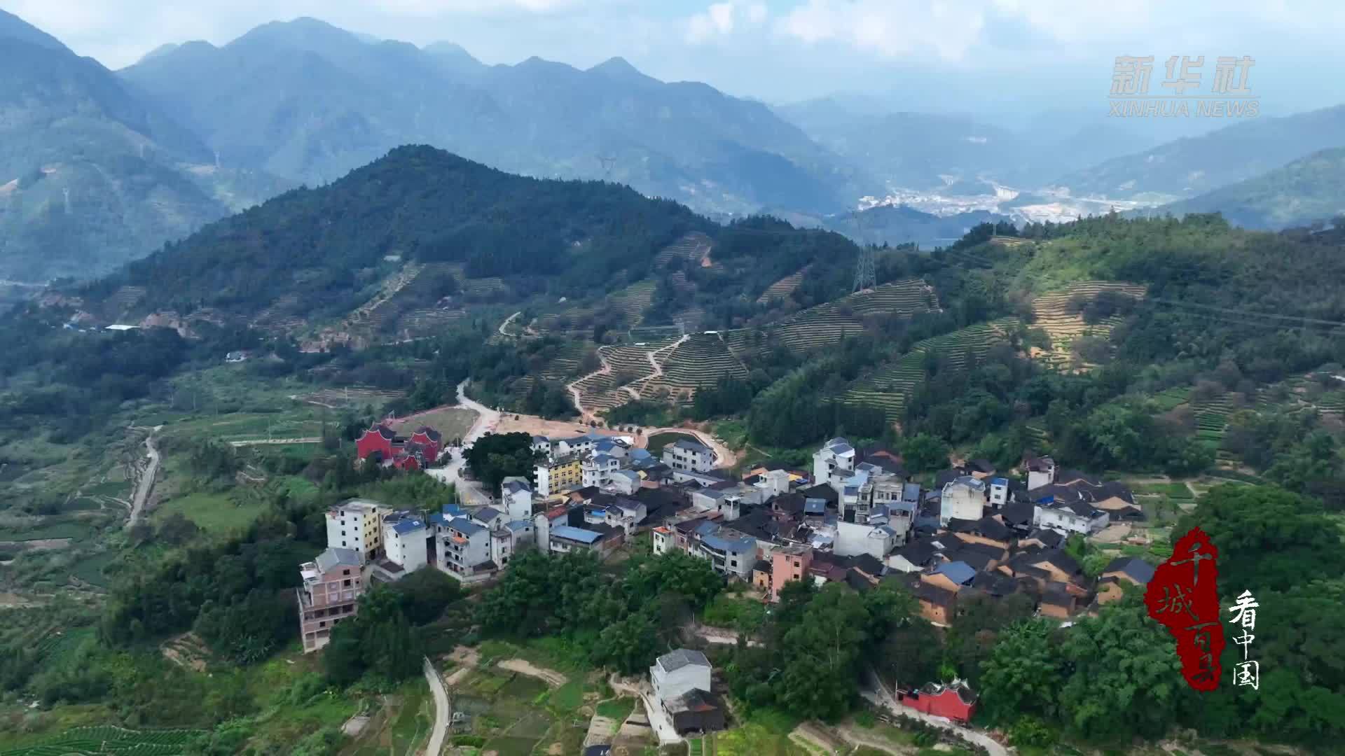 千城百县看中国｜福建周宁：山野柿红浸染古村秋意