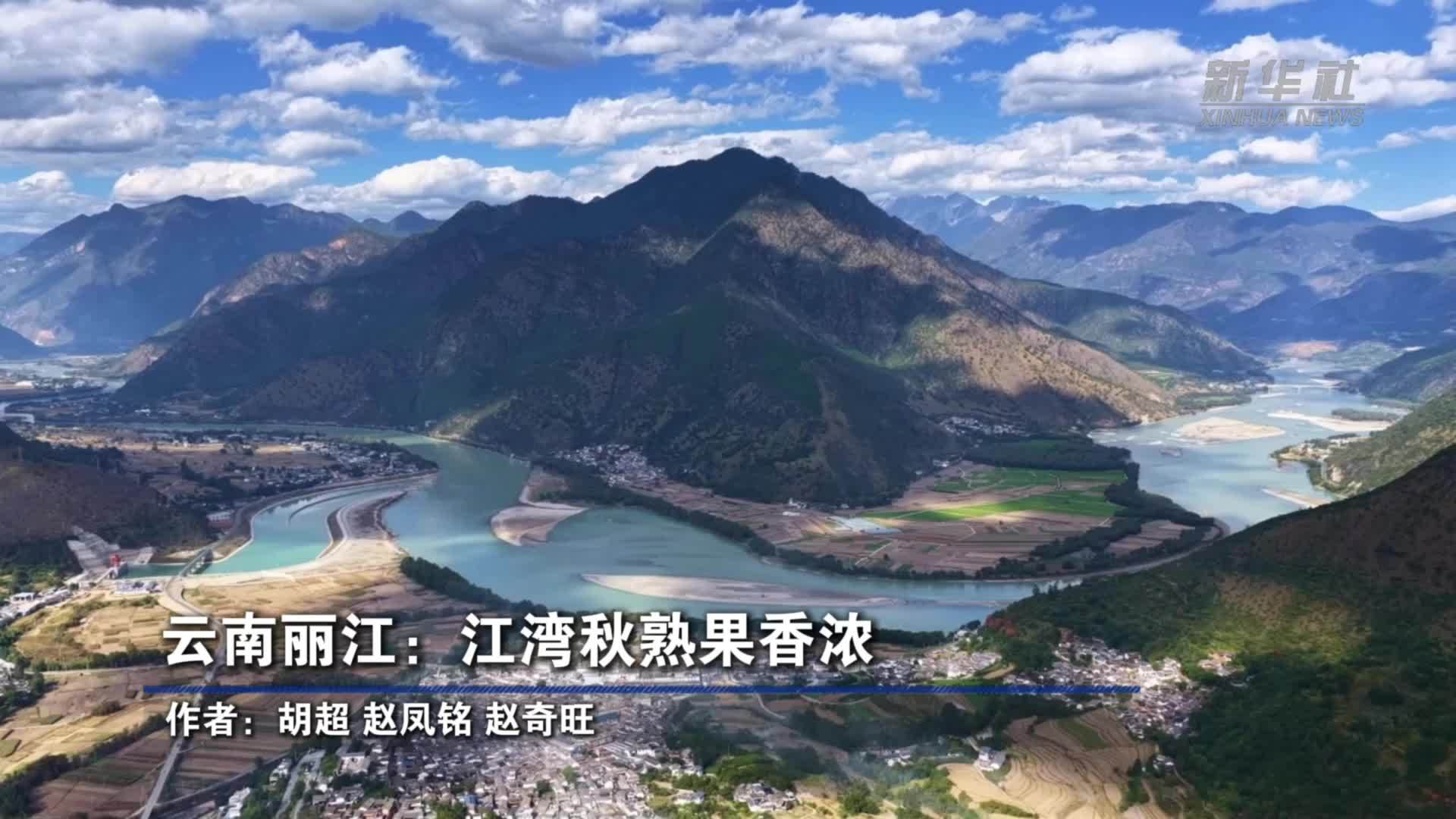云南丽江：江湾秋熟果香浓