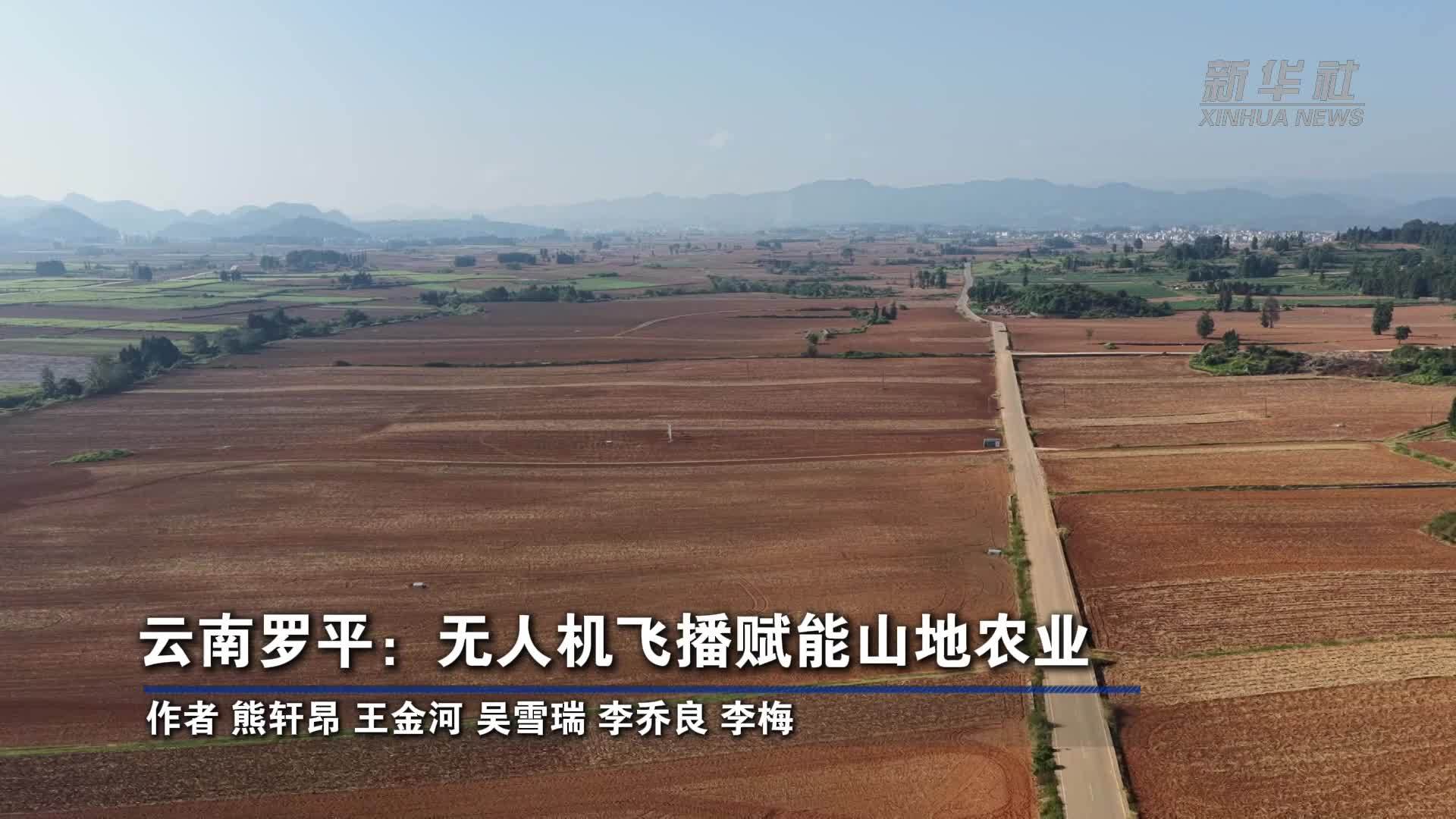 云南罗平：无人机飞播赋能山地农业