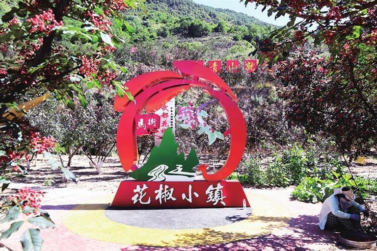 武都马街花椒小镇