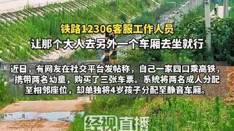 【#一家四口4岁娃被单独分到静音车厢# 家长:无奈退儿童票挤坐】#1