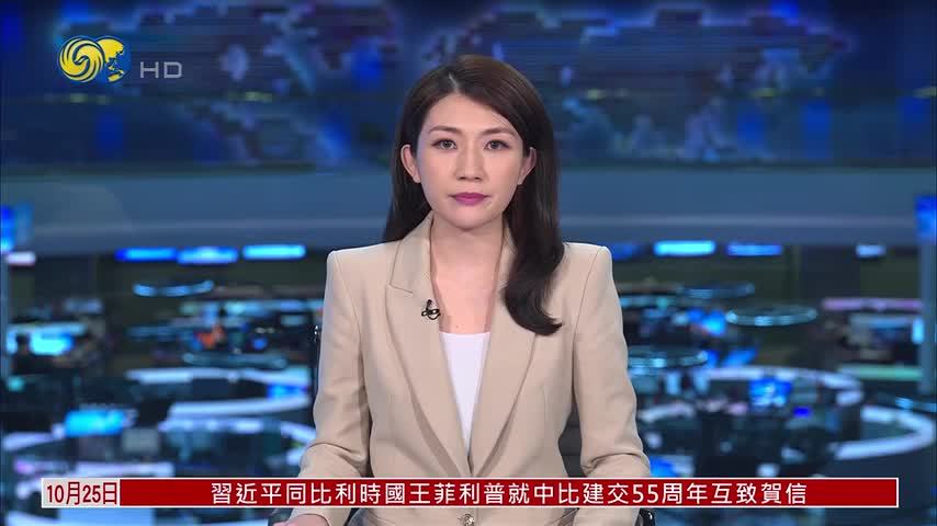 日本民众举行集会 反对修改“无核三原则”
