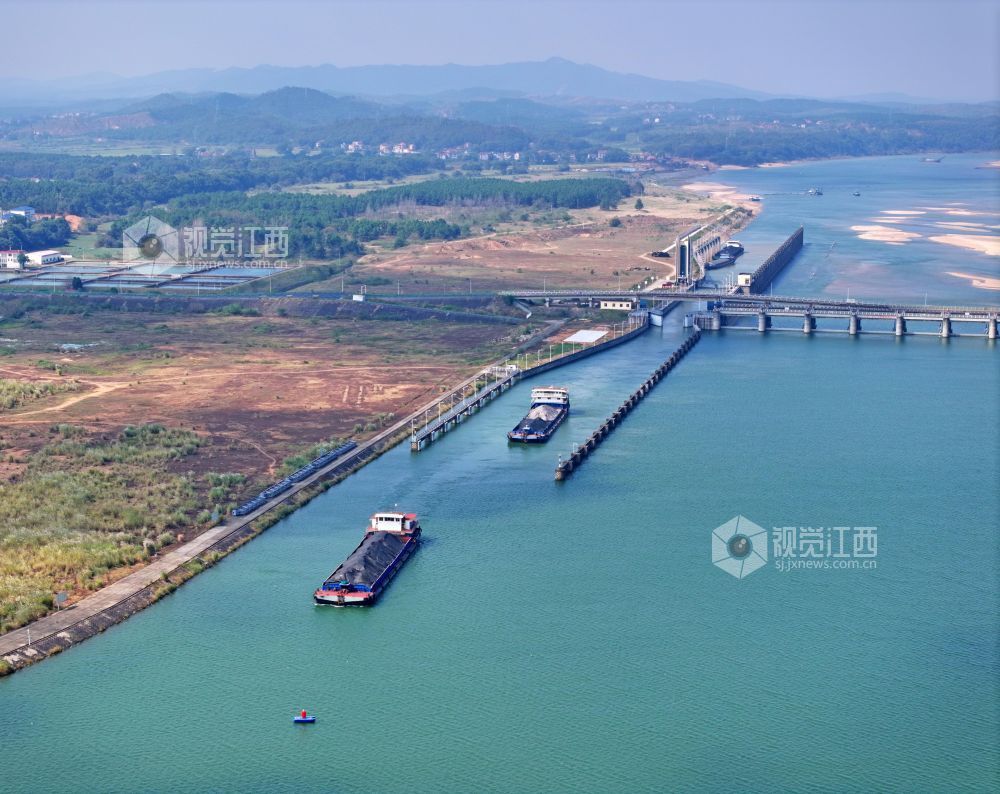 2026年10月23日,江西赣江航道泰和段,货运船舶有序通过泰和航电枢纽大坝船闸。