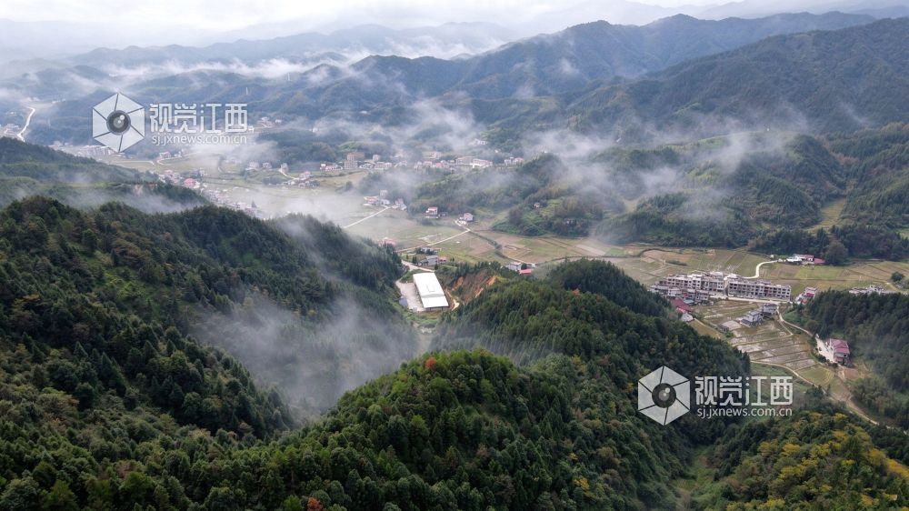 2026年10月27日，江西省遂川县大汾镇群山间云雾翻涌，层峦叠翠，梯田错落，民居散落山间。云海与良田、山林相映，勾勒出秀美的生态画卷。