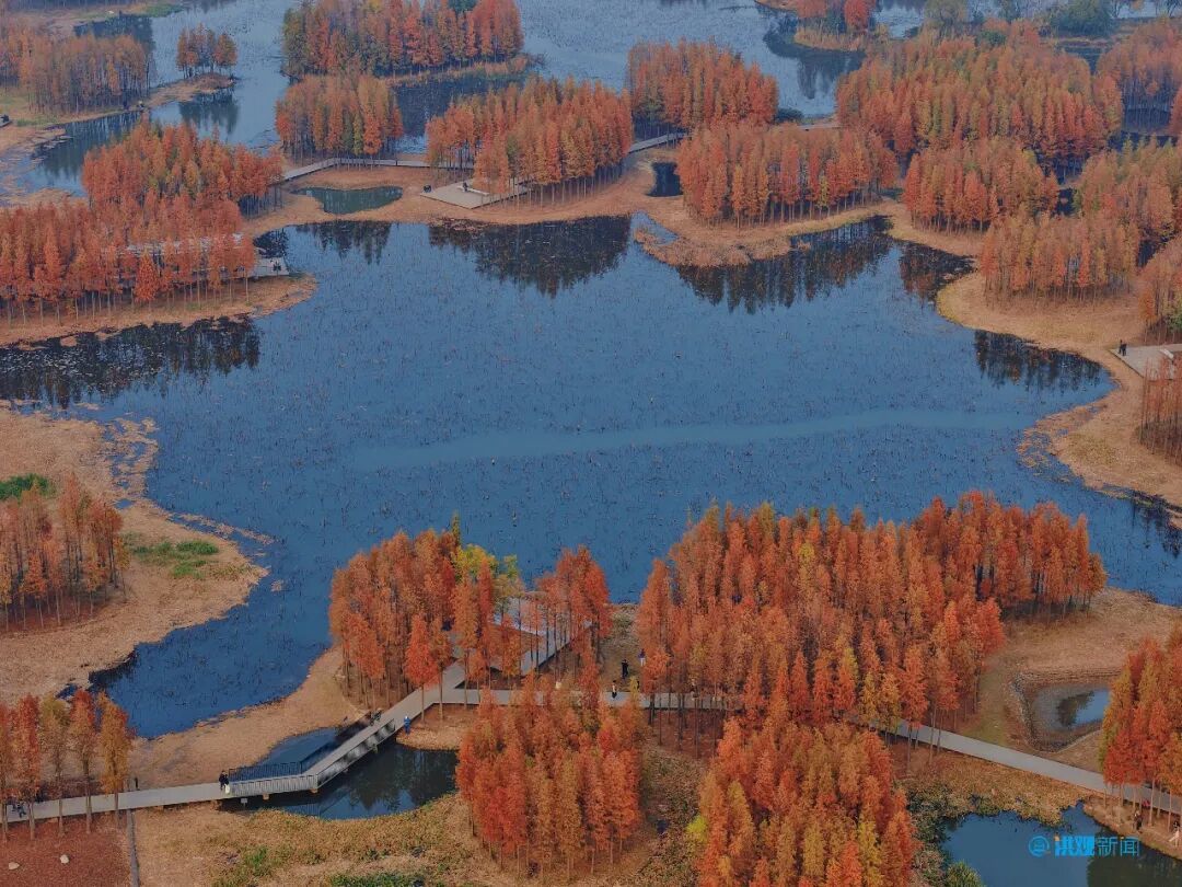 鱼尾洲湿地公园