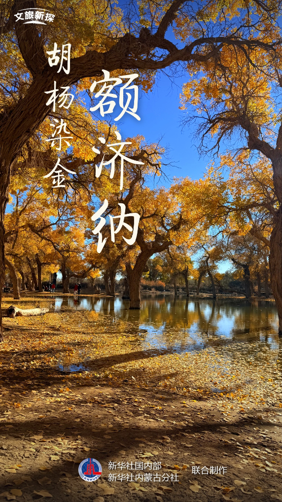 文旅新探丨胡杨染金额济纳