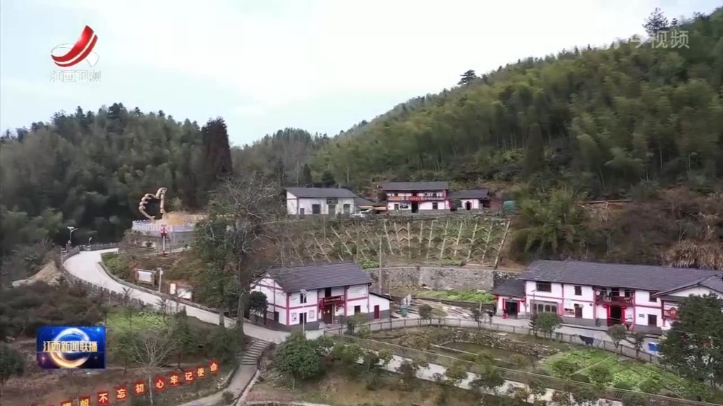 刘金波在井冈山于都调研