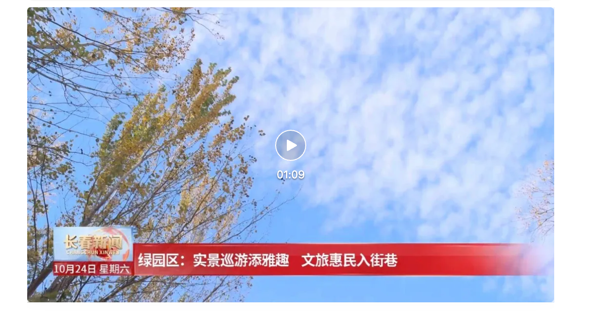 长春市绿园区：实景巡游添雅趣 文旅惠民入街巷