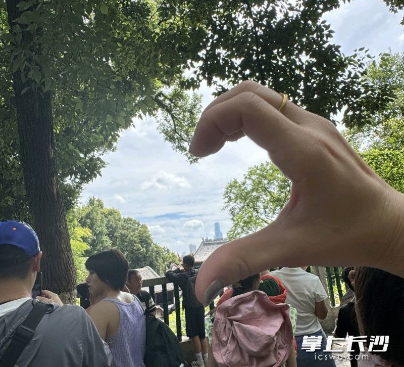 网友发在社交媒体上的打卡图片。