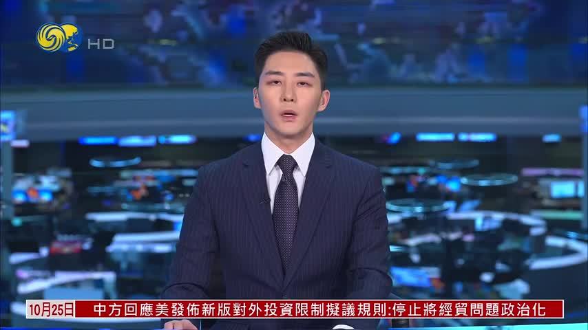 遭大规模网络攻击 德国选择党内部邮件泄露