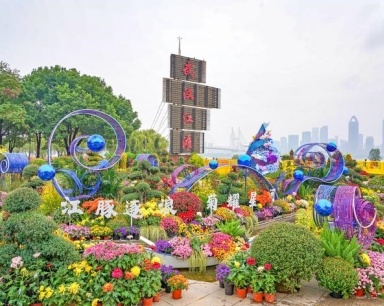 满城金色藏不住 今秋菊展倒计时