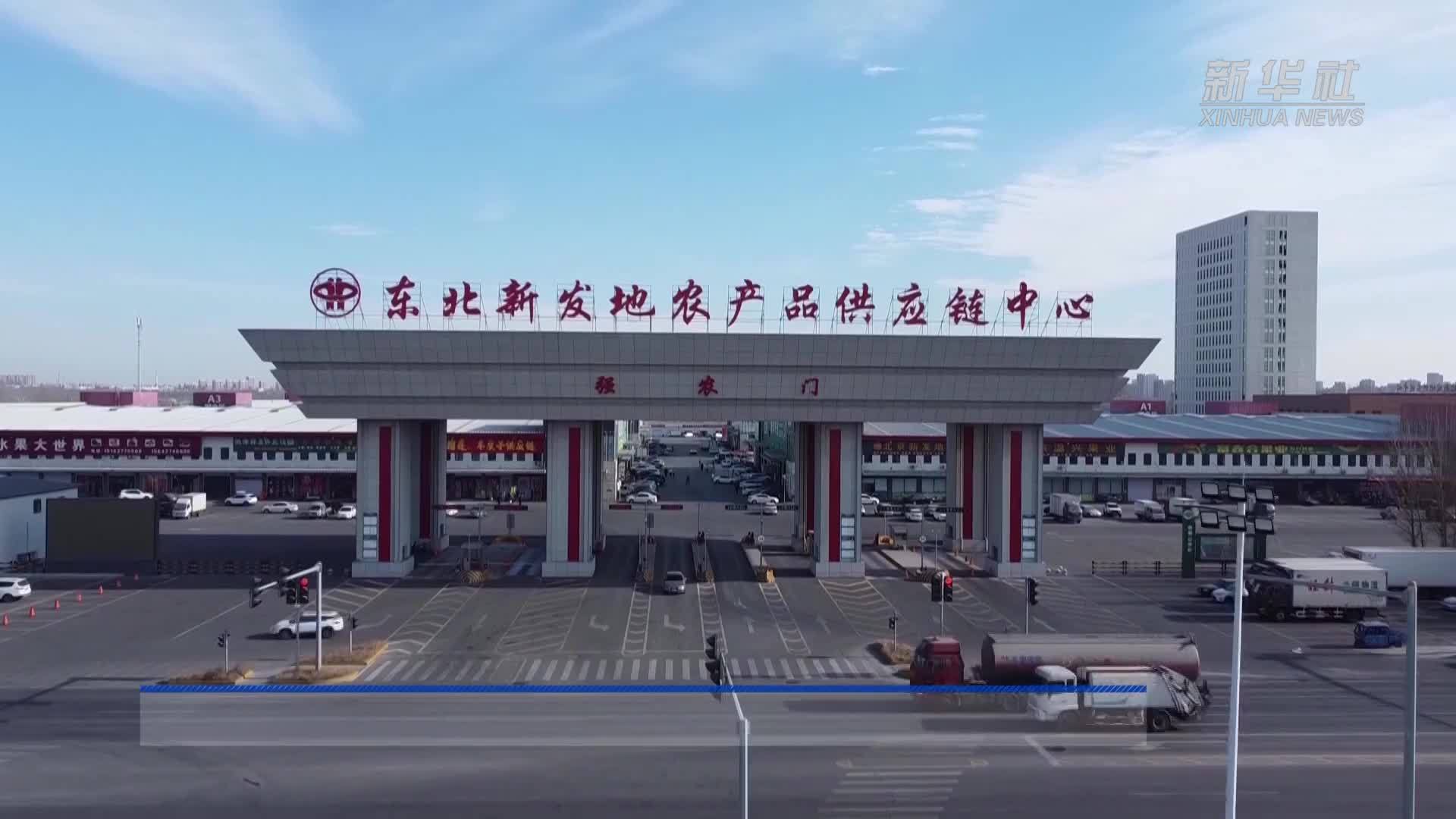辽宁盘锦：落实冬储筹备 守好民生“菜篮子”