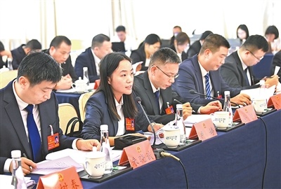 10月27日，在审议政府工作报告时，市人大代表卢婷建议进一步完善农村基础设施建设，推进乡村全面振兴发展。