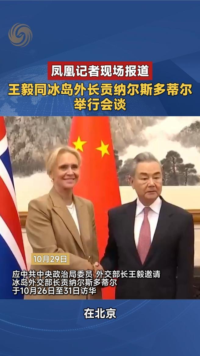 王毅同冰岛外长贡纳尔斯多蒂尔举行会谈