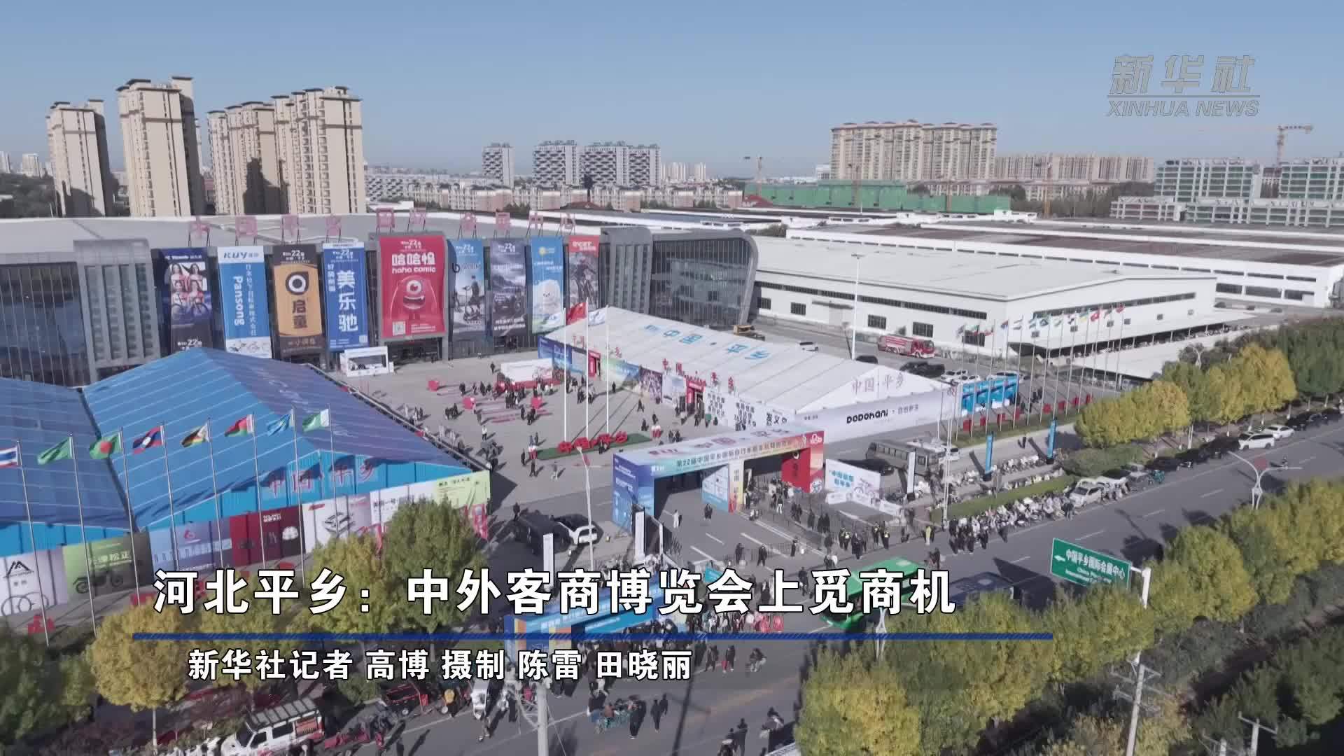 河北平乡：中外客商博览会上觅商机