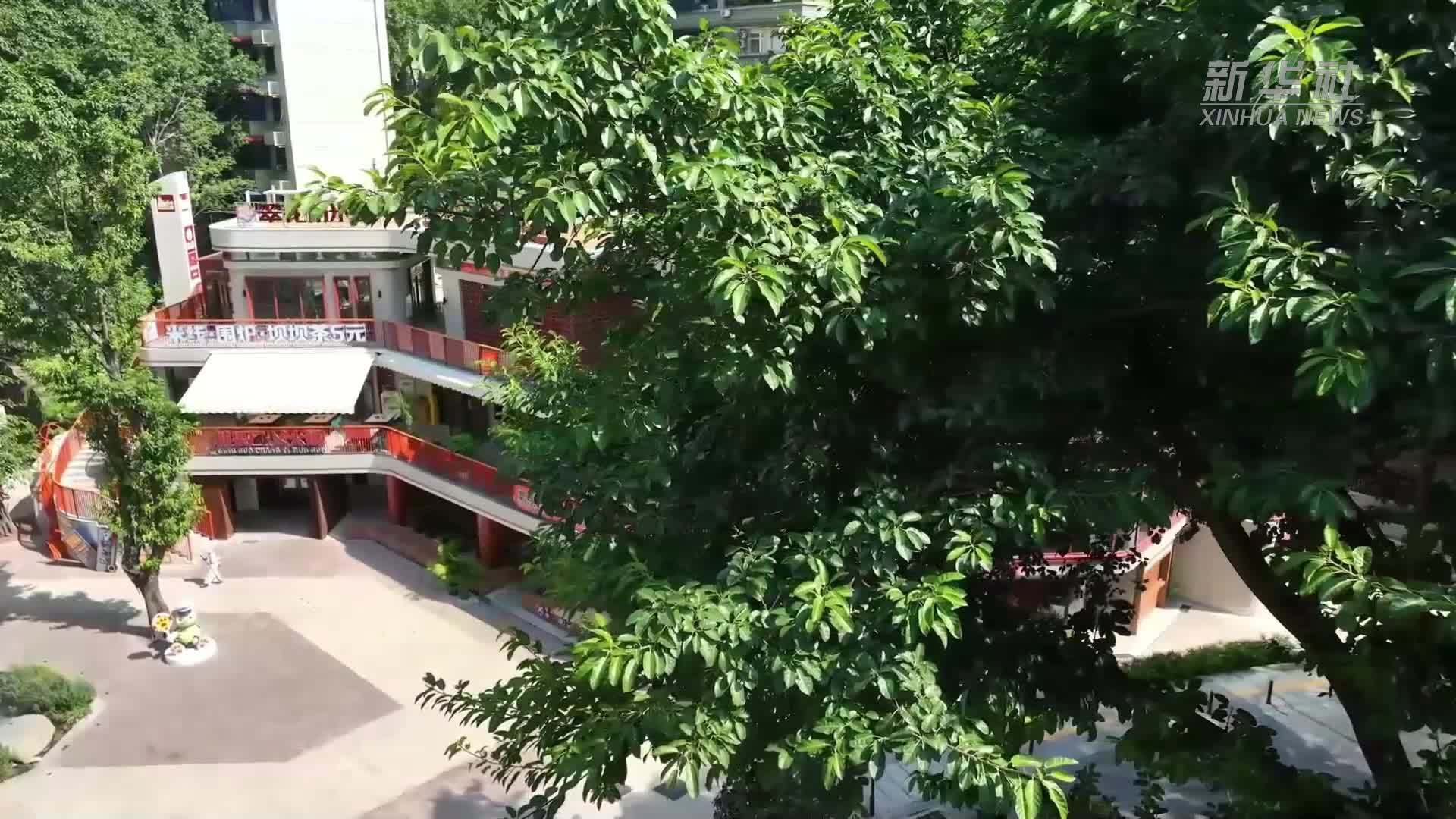 经济政策一线微观察｜民主村的“更新账”